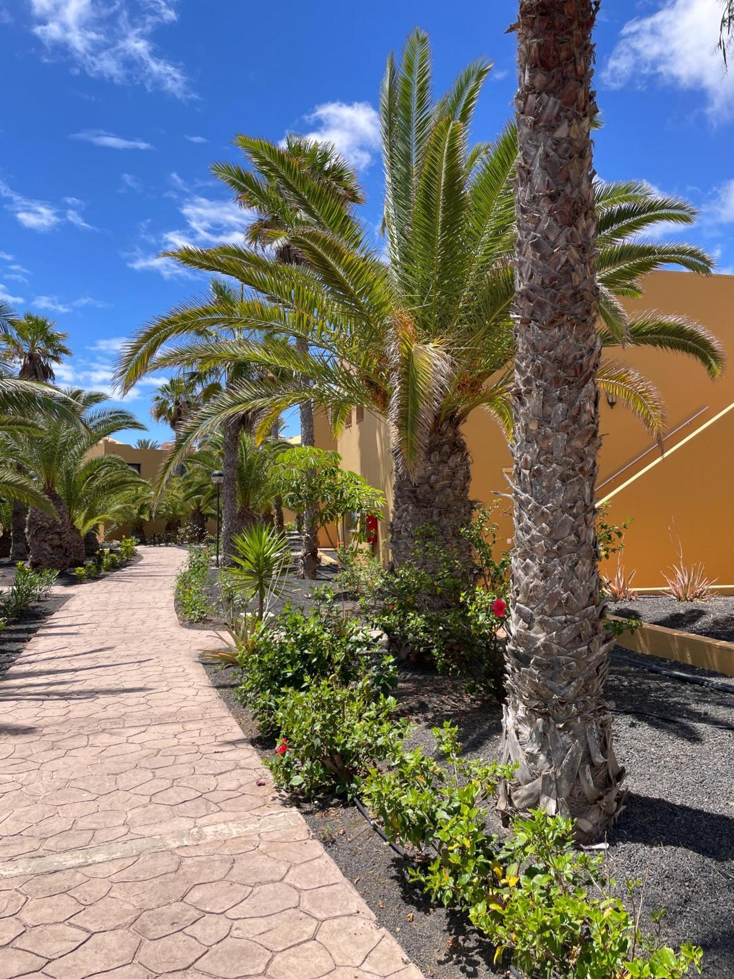 B-Rent Casa Angela Pool View Appartement Corralejo Buitenkant foto